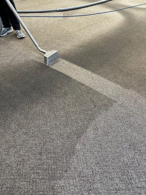 A before and after photo of carpets being cleaned